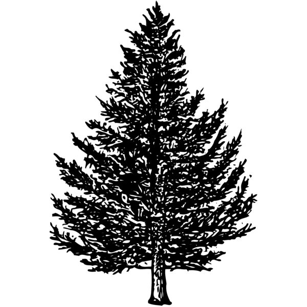 TREE0005 Thumbnail